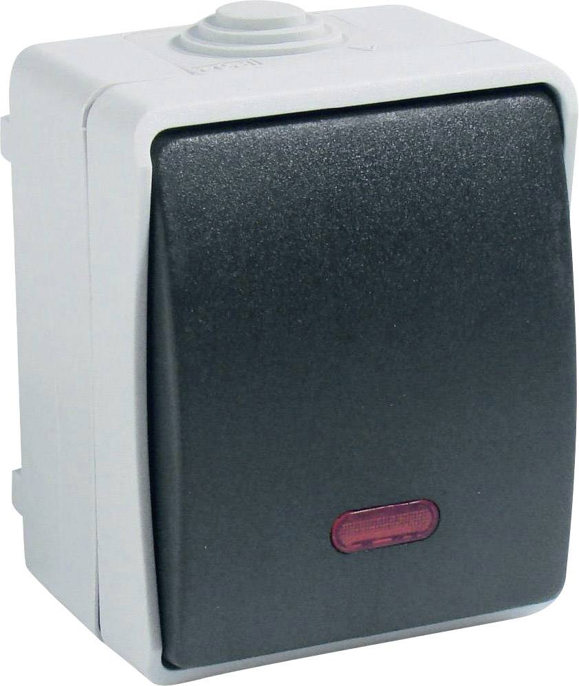 GAO 9876 Wet room switch product range Control switch Standard Grey