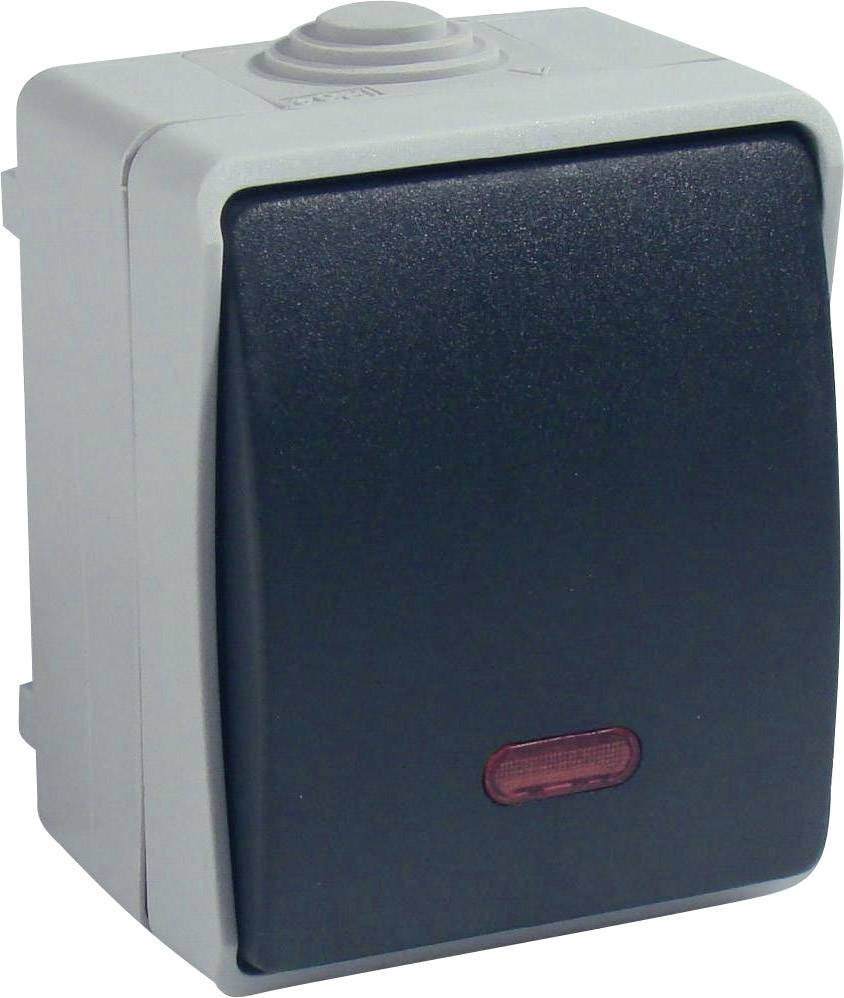 GAO 9877 Wet room switch product range Control switch Standard Grey
