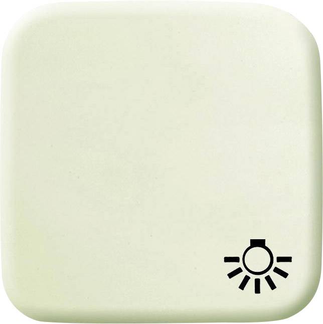 Busch-Jaeger Cover Light symbol toggle Duro 2000 SI, Duro 2000 SI Linear Creamy white 2520 LI-212