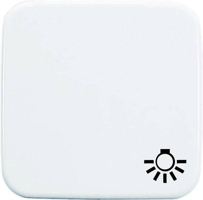 Busch-Jaeger Cover Light symbol toggle Reflex SI, Reflex SI Linear Alpine white 2520 LI-214