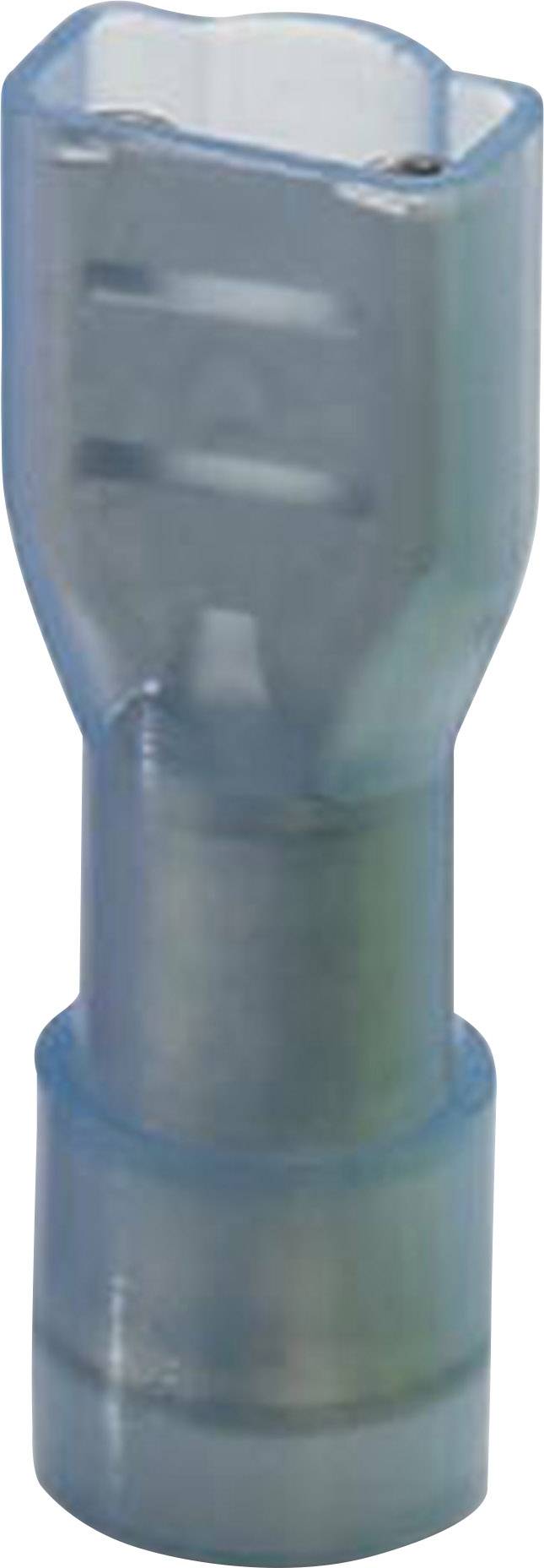 Phoenix Contact 3240547 Blade receptacle Connector width: 6.3 mm Connector thickness: 0.8 mm 180 ° Insulated Blue 25 pc(s)