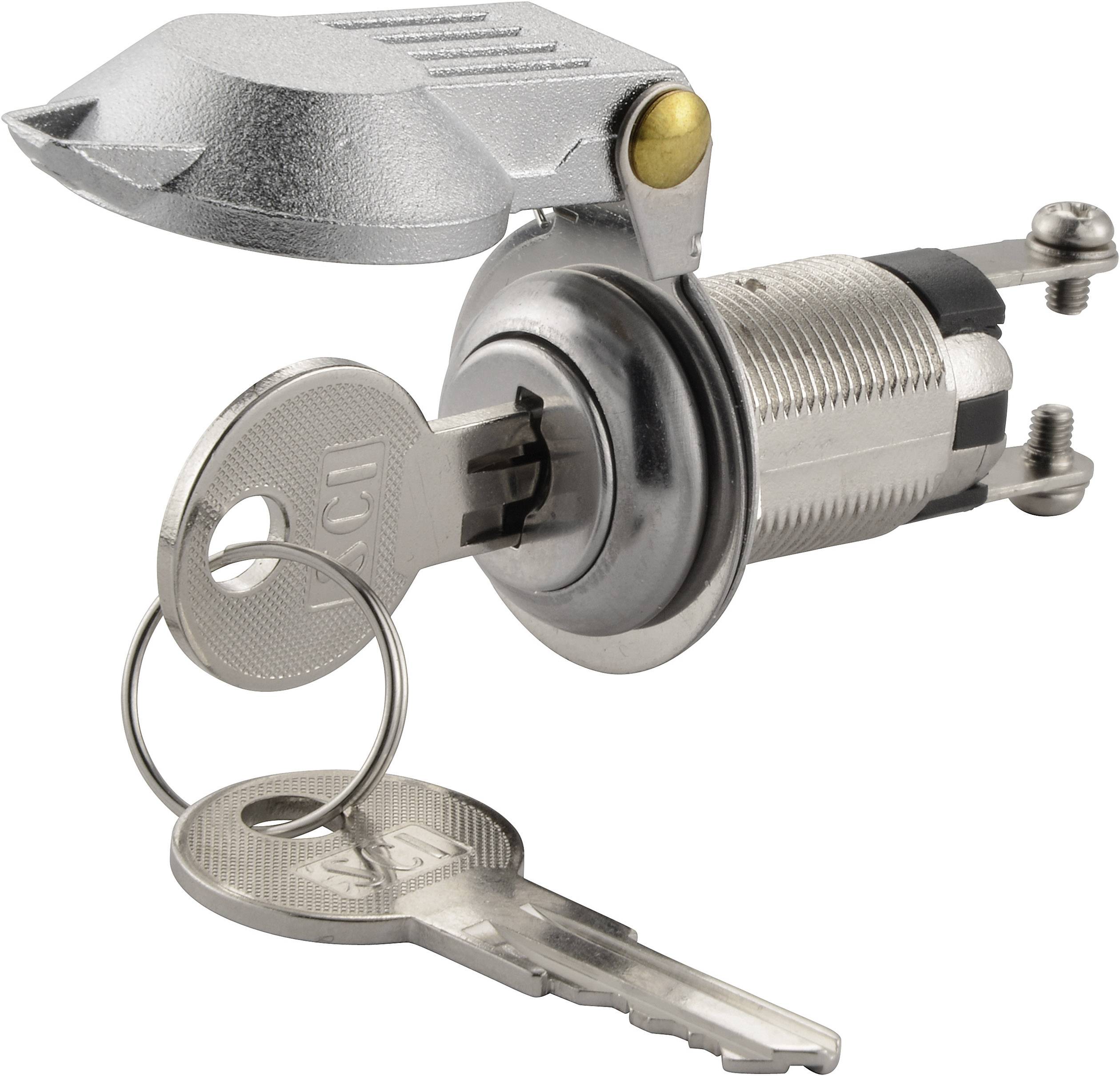 Two silver keys are inserted in a silver cylinder lock with a small lever on top.
