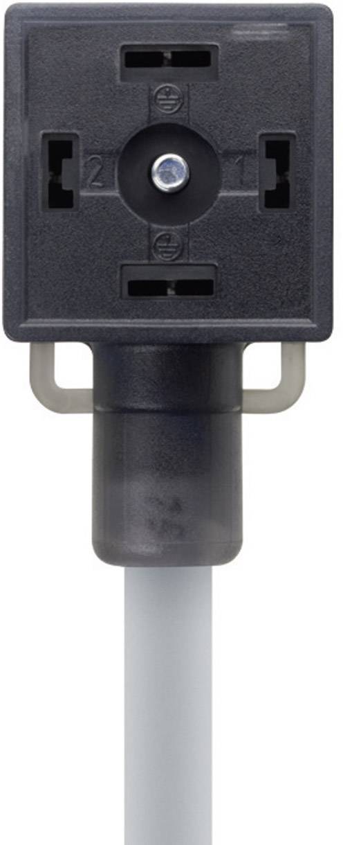 Escha 8047823 VA21-230.0-5/P01 Black Pins:2+PE