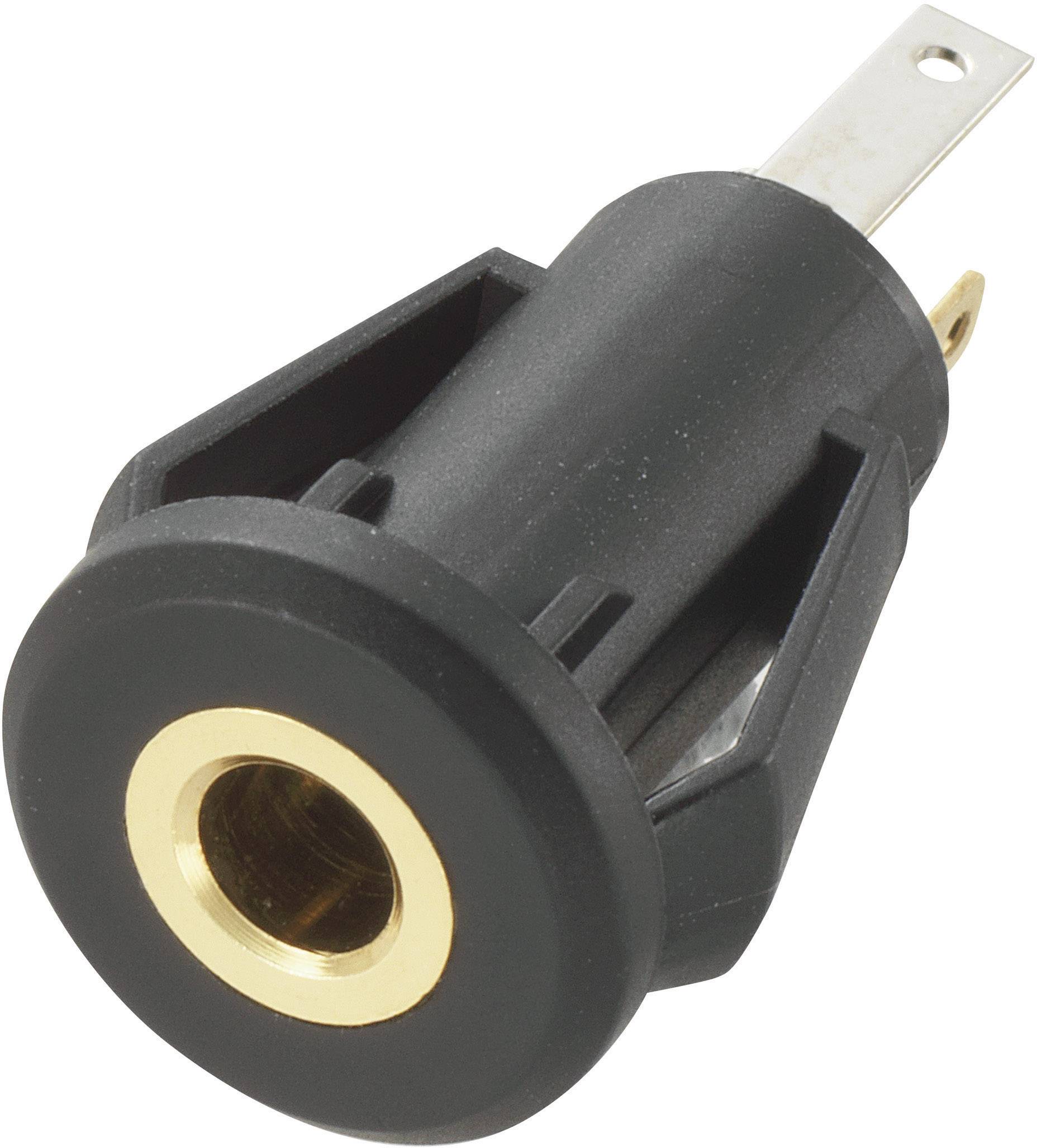 A black electric adapter with a golden socket and two metal contacts. Suitable for audio connections.