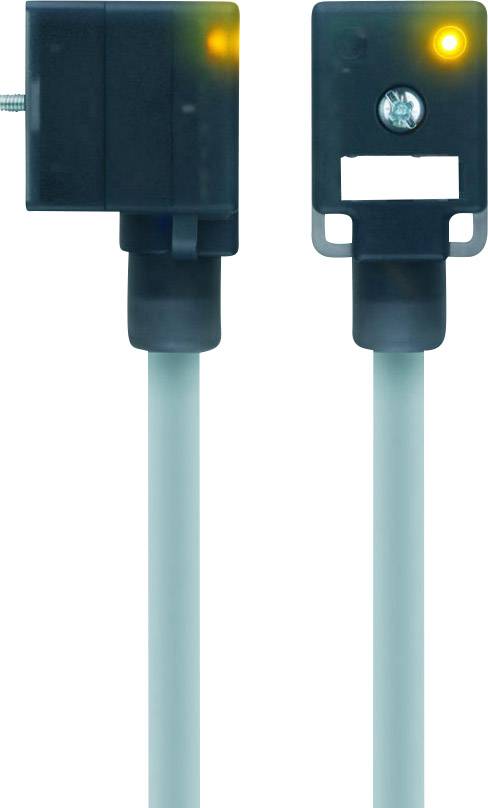 Escha 8047830 VBI21-24.3-5/P01 Black Pins:2+PE