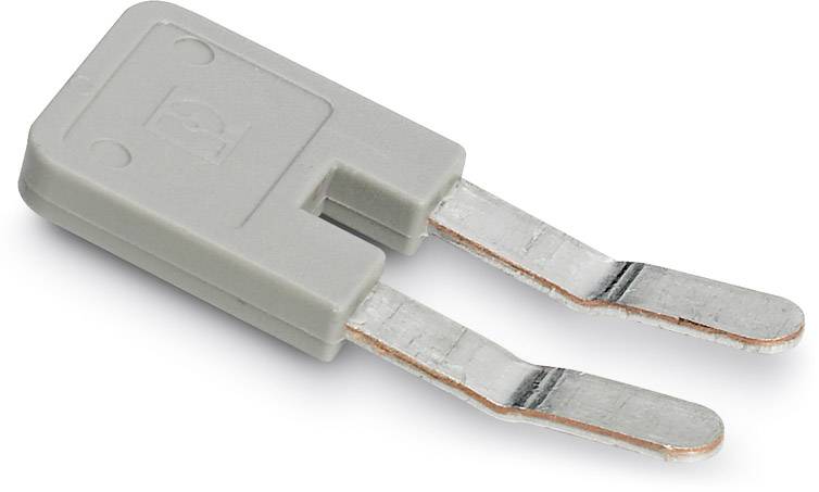 Image of a grey flat plug with two metal contacts, used in electrical connections for safe power transmission.