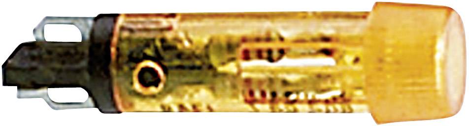 RAFI 1.69.508.840/1503 N/A Green