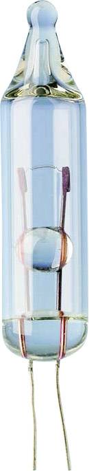 A small, cylindrical glass tube with two inserted wires.