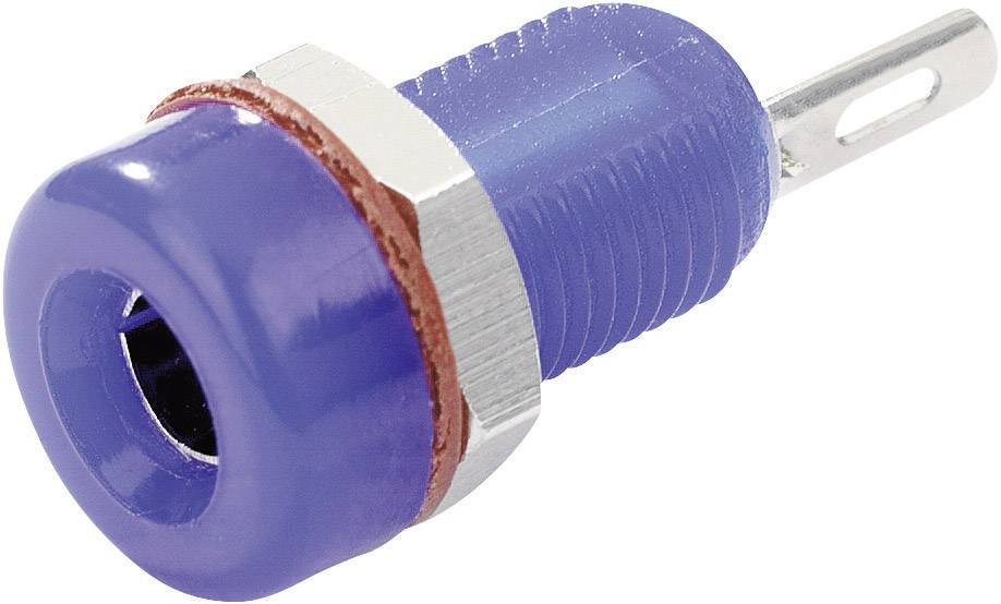 Electronic push button with blue housing and metal thread, side-mounted metal connection pin. Used in switching circuits.