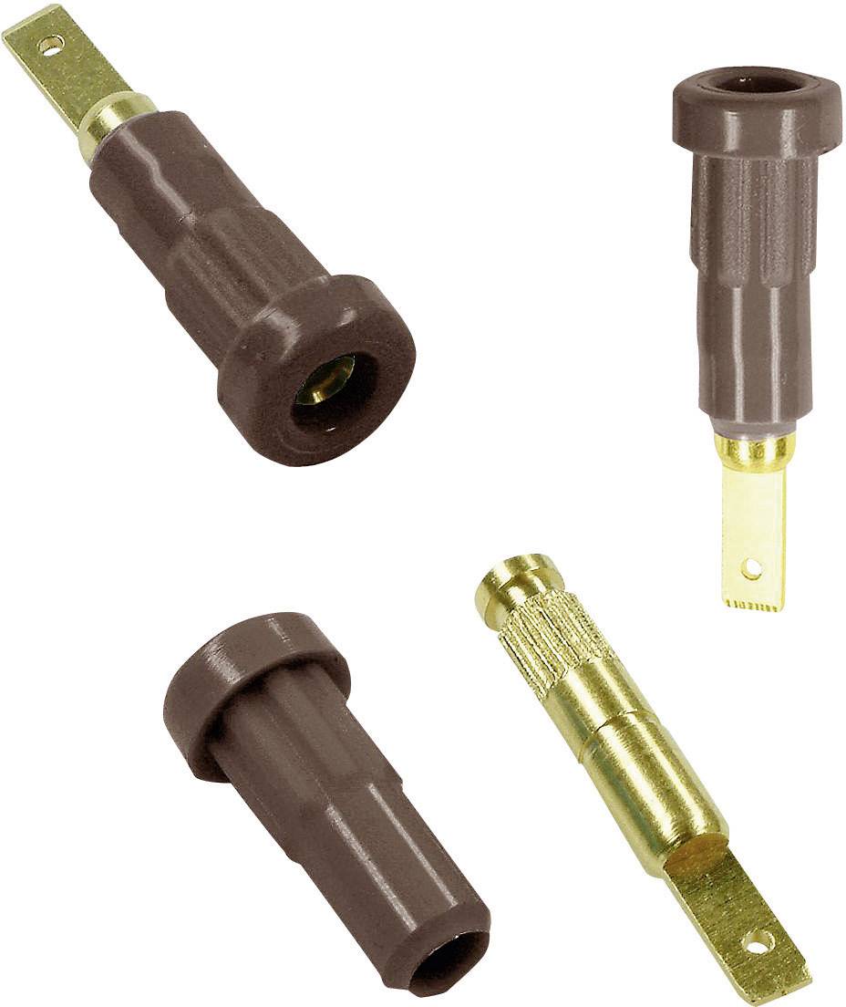 Stäubli EB2 Jack socket Socket, vertical vertical Pin diameter: 2 mm Brown