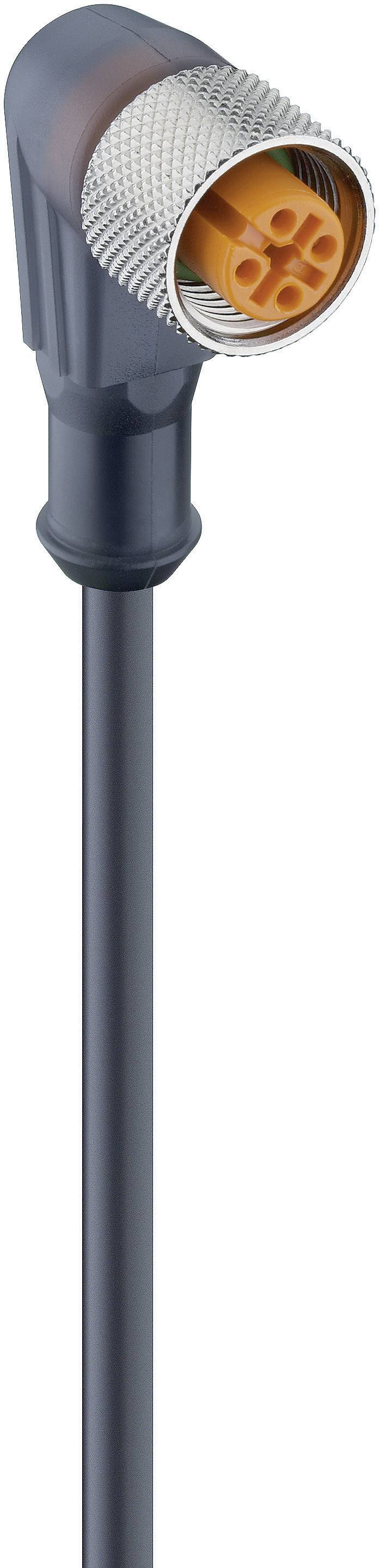 Lumberg Automation 11441-1 RKWT 4-225/2 M Actuator-Sensor-Connection Line M2-Plug-in BUSH STRAIGHT Black