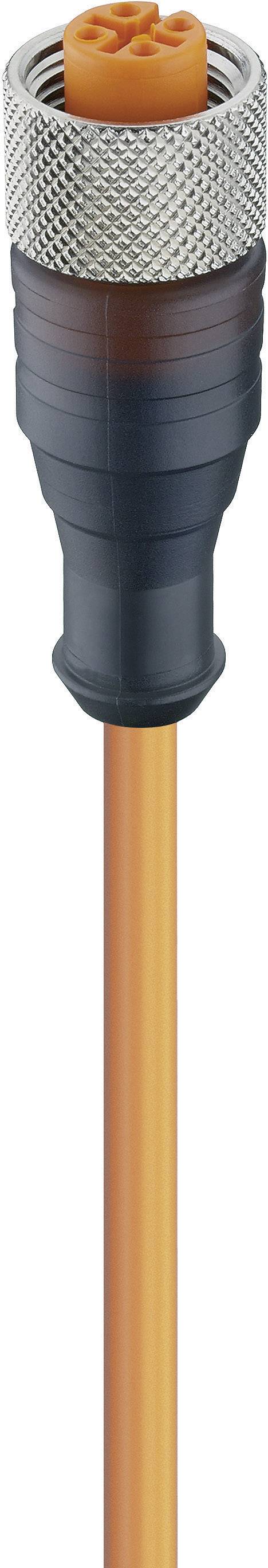 Lumberg Automation 11363-1 RKT 4-3-06/2 M Actuator-Sensor Connection Line, M8 Connector, Straight Orange
