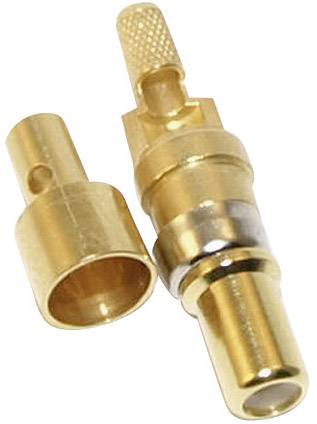 Two gold-coloured banana plugs, one with a textured grip cap, are lying slightly angled next to each other on a white background.
