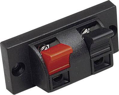 A rectangular speaker connector with two lever arms in red and black for inserting speaker cables.