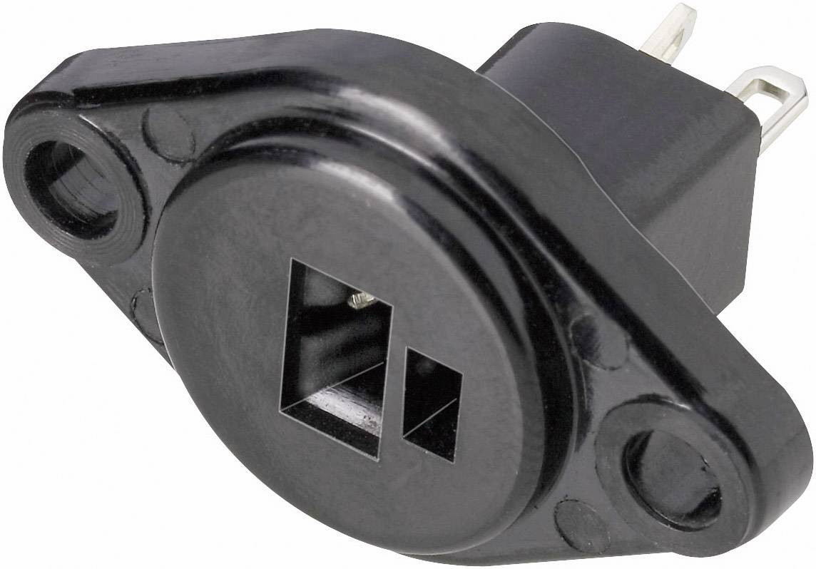 A black electrical connector with rectangular openings and two metal pins, used for connecting electronic devices.