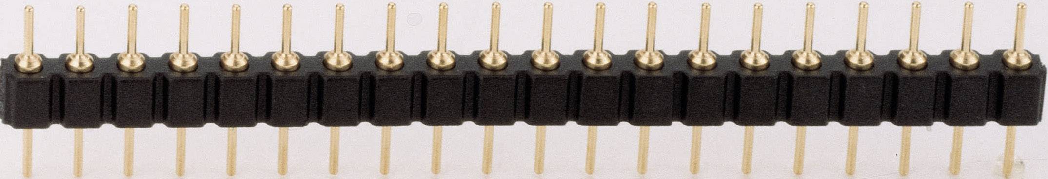 BKL Electronic Pin strip (precision) No. of rows: 1 Pins per row: 32 10120538