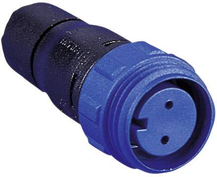 Blue electrical connector with two visible pins, suitable for industrial or technical applications.