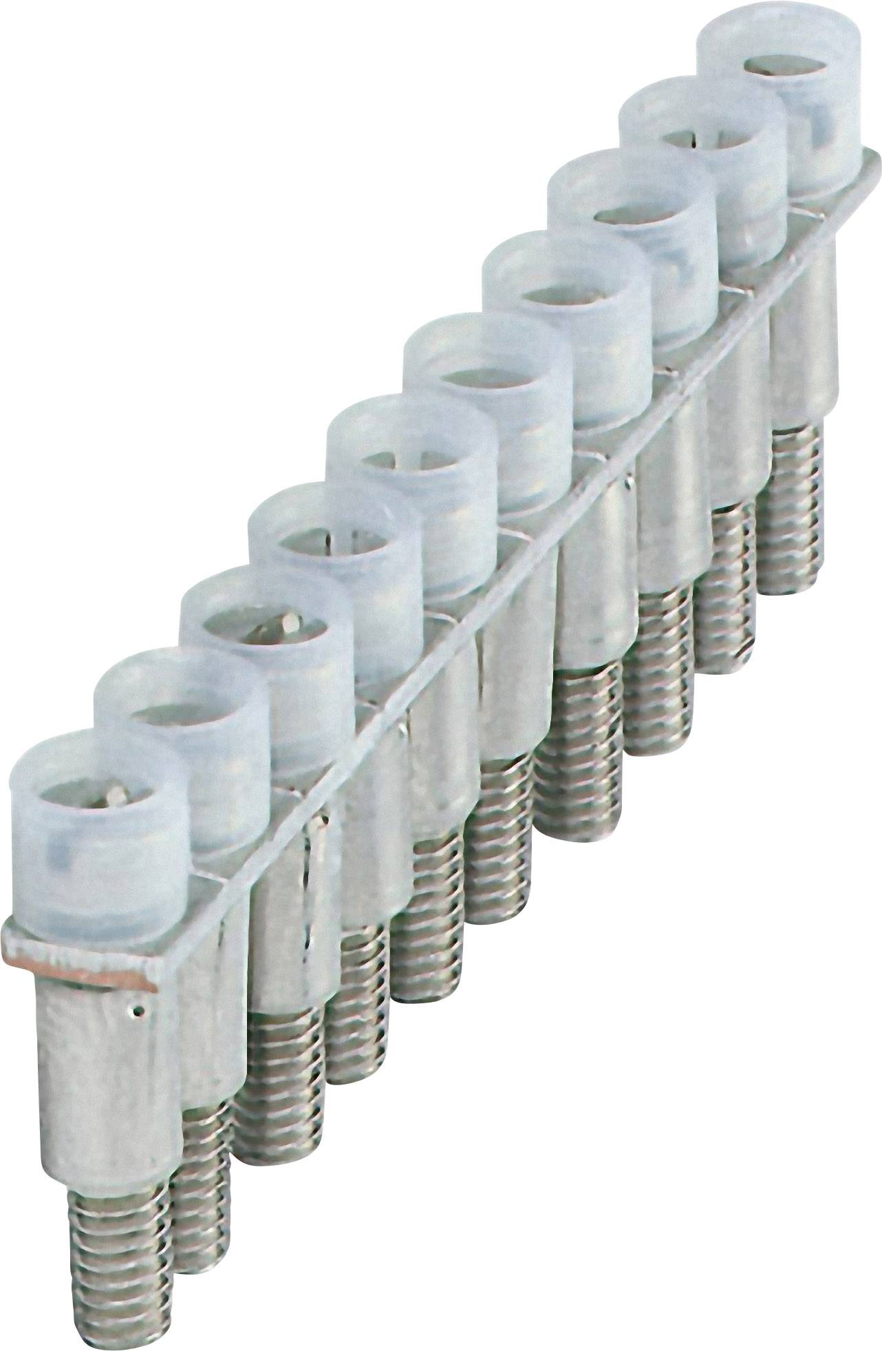 A row of ten silver screw connectors with transparent caps, arranged in an even line.
