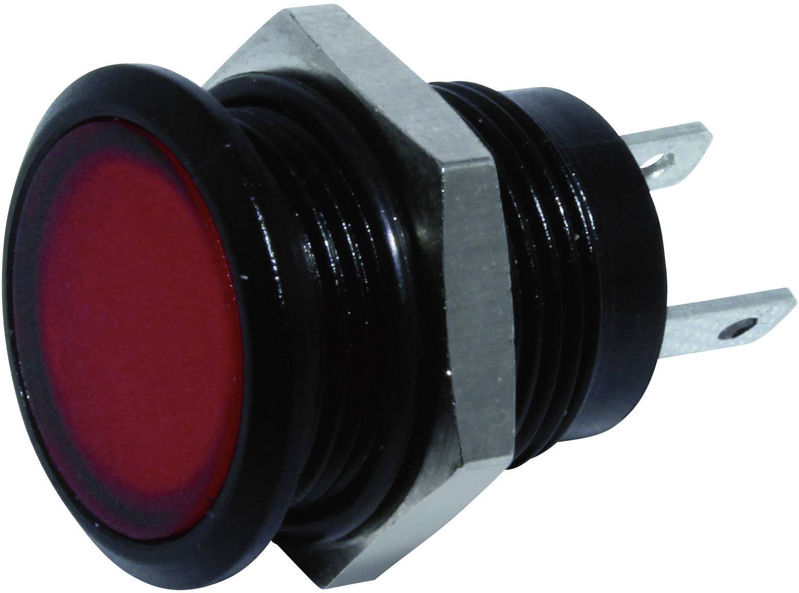 Red push button with a round black border, side view. Two metal contacts visible, suitable for electrical circuits.