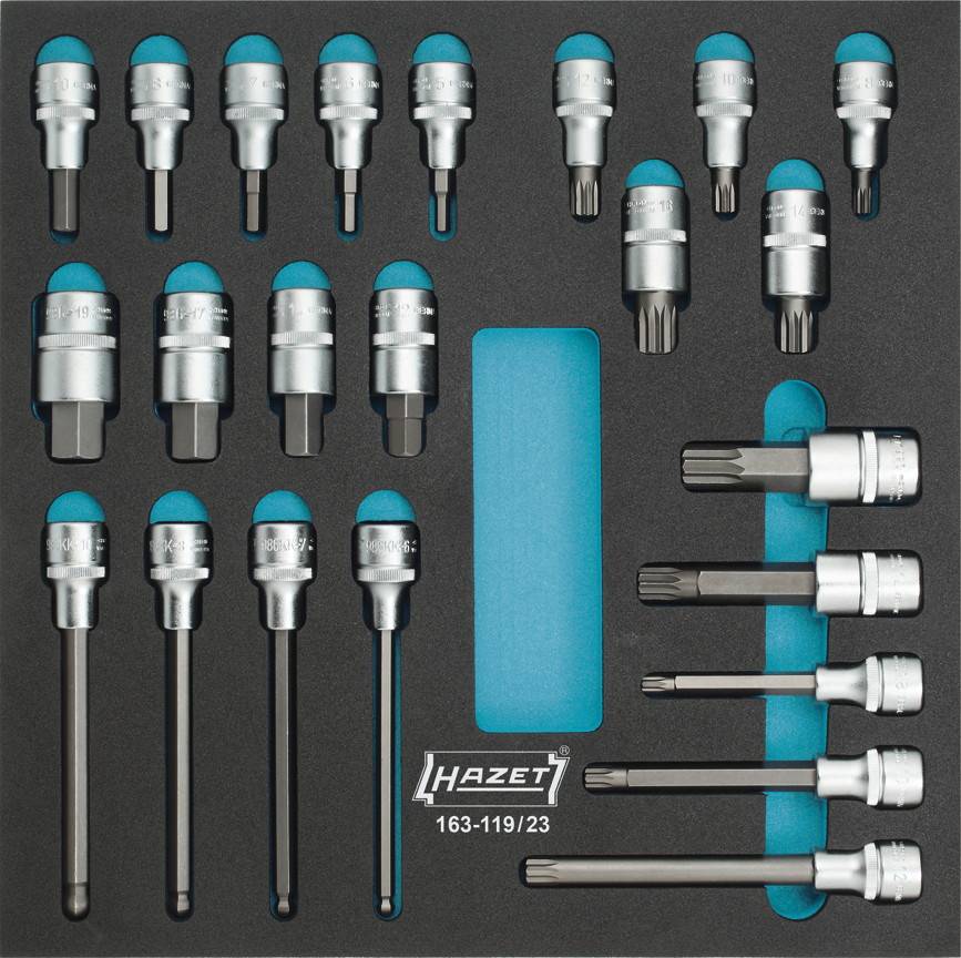 Set of Torx bits and sockets in a plastic insert. Various sizes and lengths, arranged in three rows. Brand: Hazet.