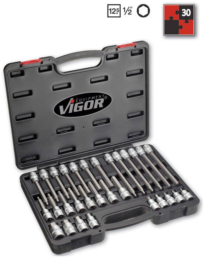 Tool case with 30-piece socket set in various sizes, brand 'Vigor', black cover with carry handle.