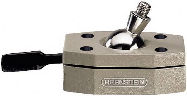 Metal switch with a lever on the side and the inscription 'BERNSTEIN' on the front.
