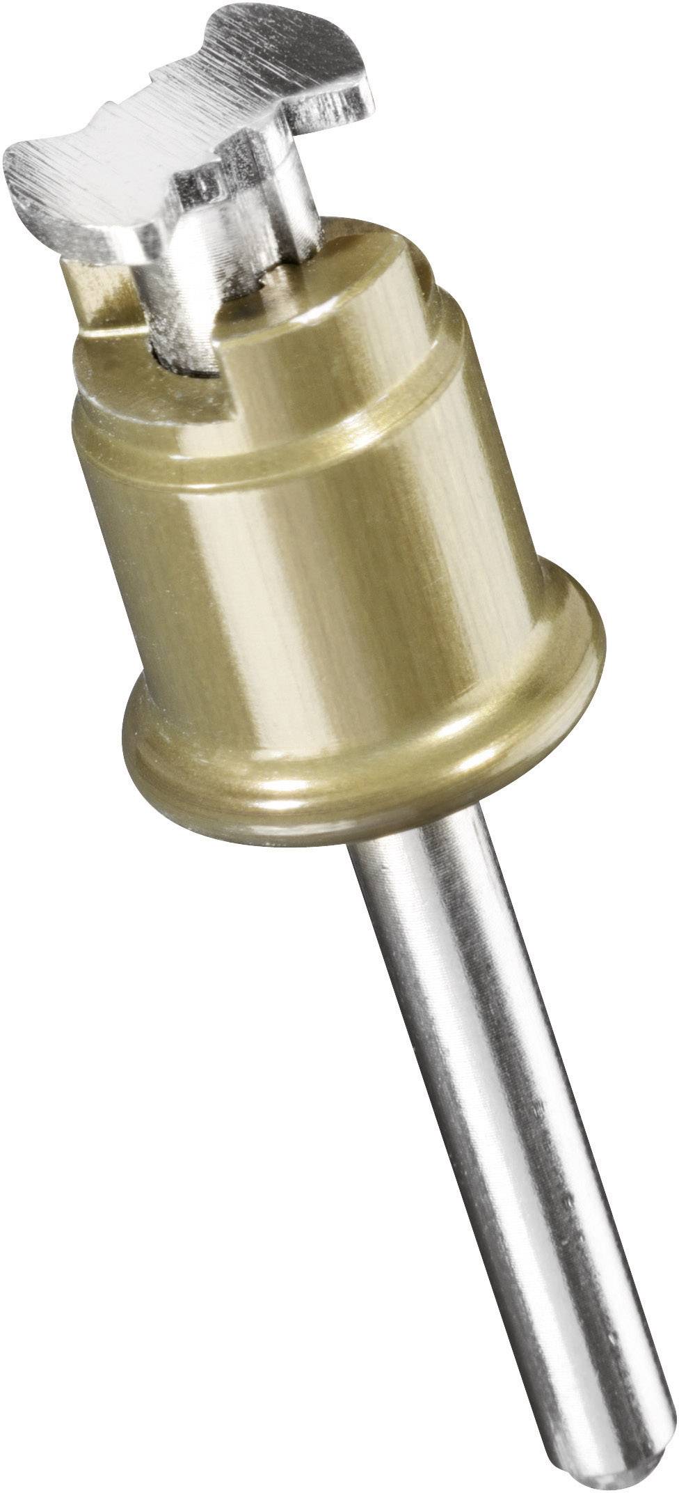 A gold-coloured metal dowel countersink with a cylindrical shaft and toothed countersunk head. Used for removing dowels.