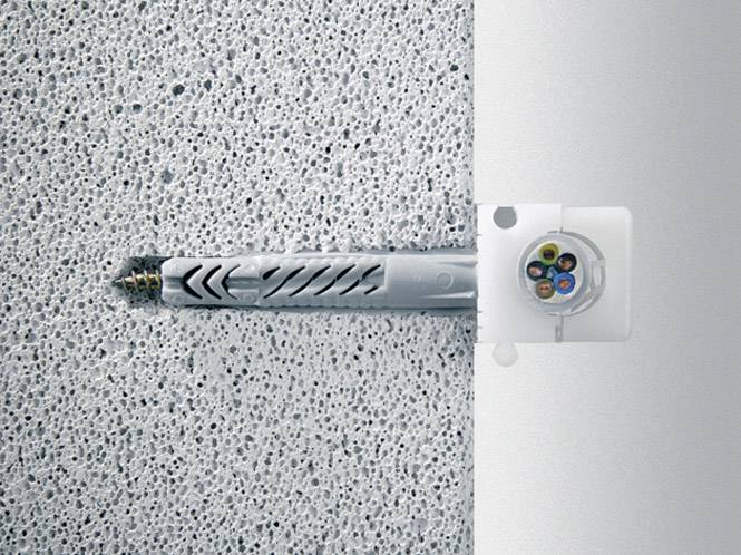 A screw with a wall plug is fixed in a concrete wall. To the right is a plastic container showing several colourful cables.