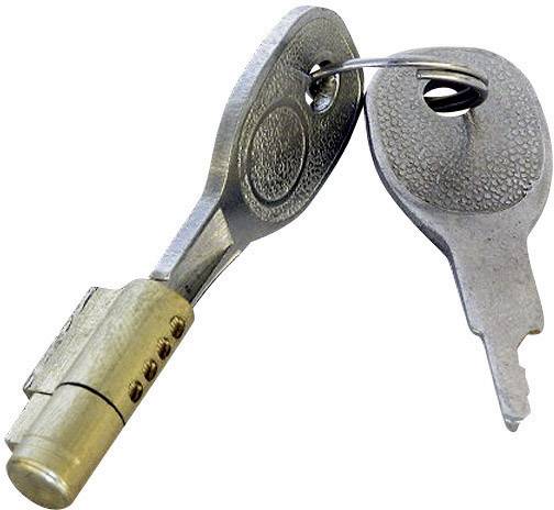Two silver keys are inserted in a gold-coloured door cylinder lock, connected by a metal ring.