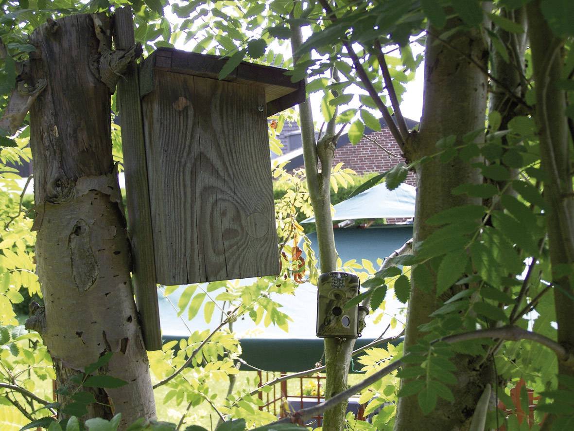 Berger & Schröter FullHD Wildlife camera 16 MP Black LEDs Brown