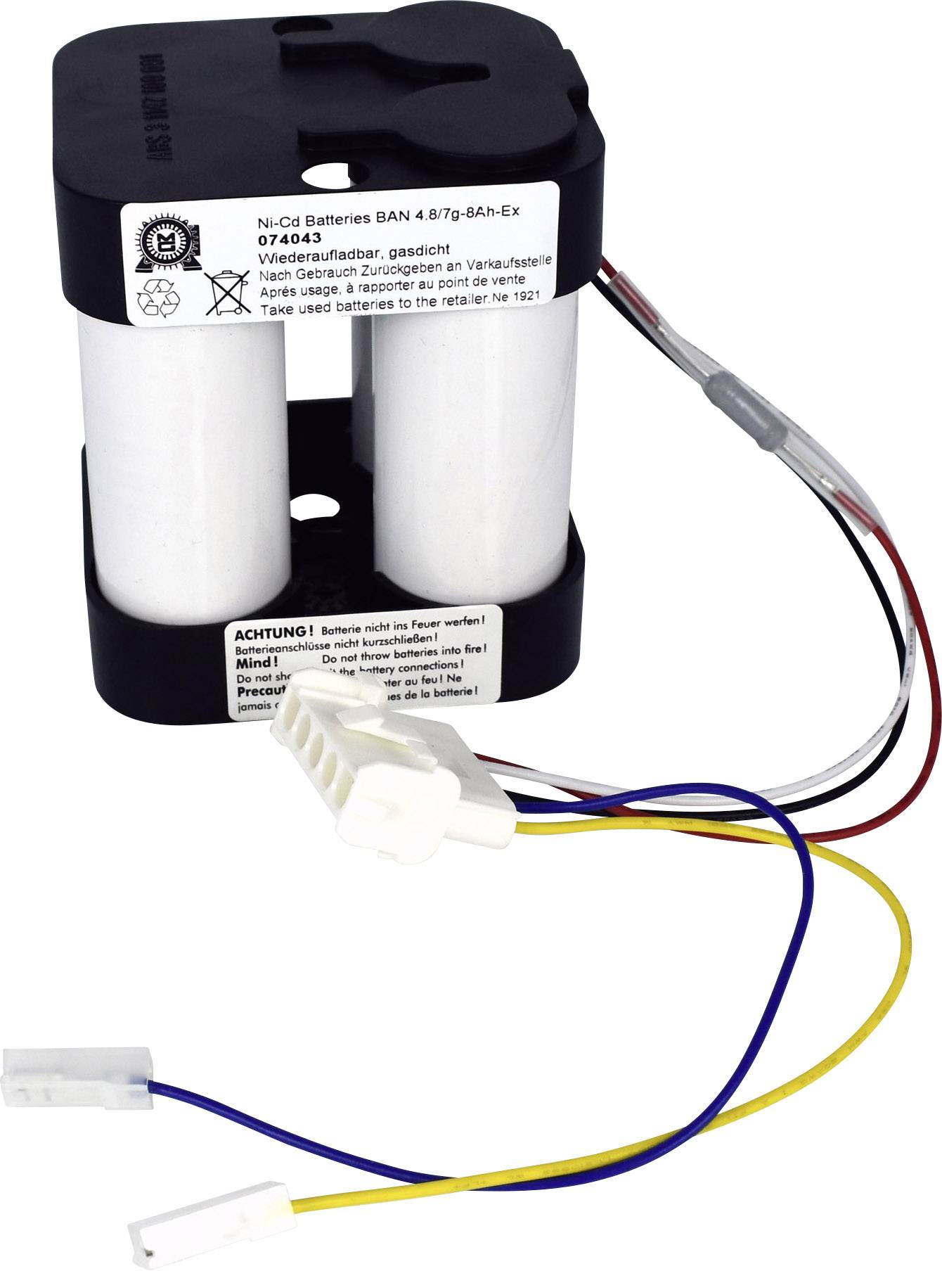 Eisemann Batterie pour lampe de poche remplace la batterie d'origine HSE7EX / SEB8 ex 4.8 V 8000 mAh