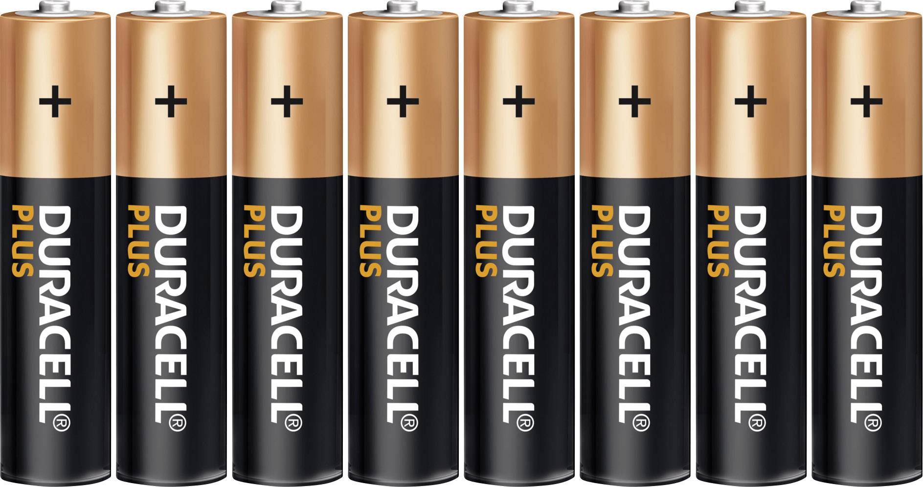 Pile LR3 (AAA) alcaline(s) Duracell Plus Power LR03 1.5 V 8 pc(s)
