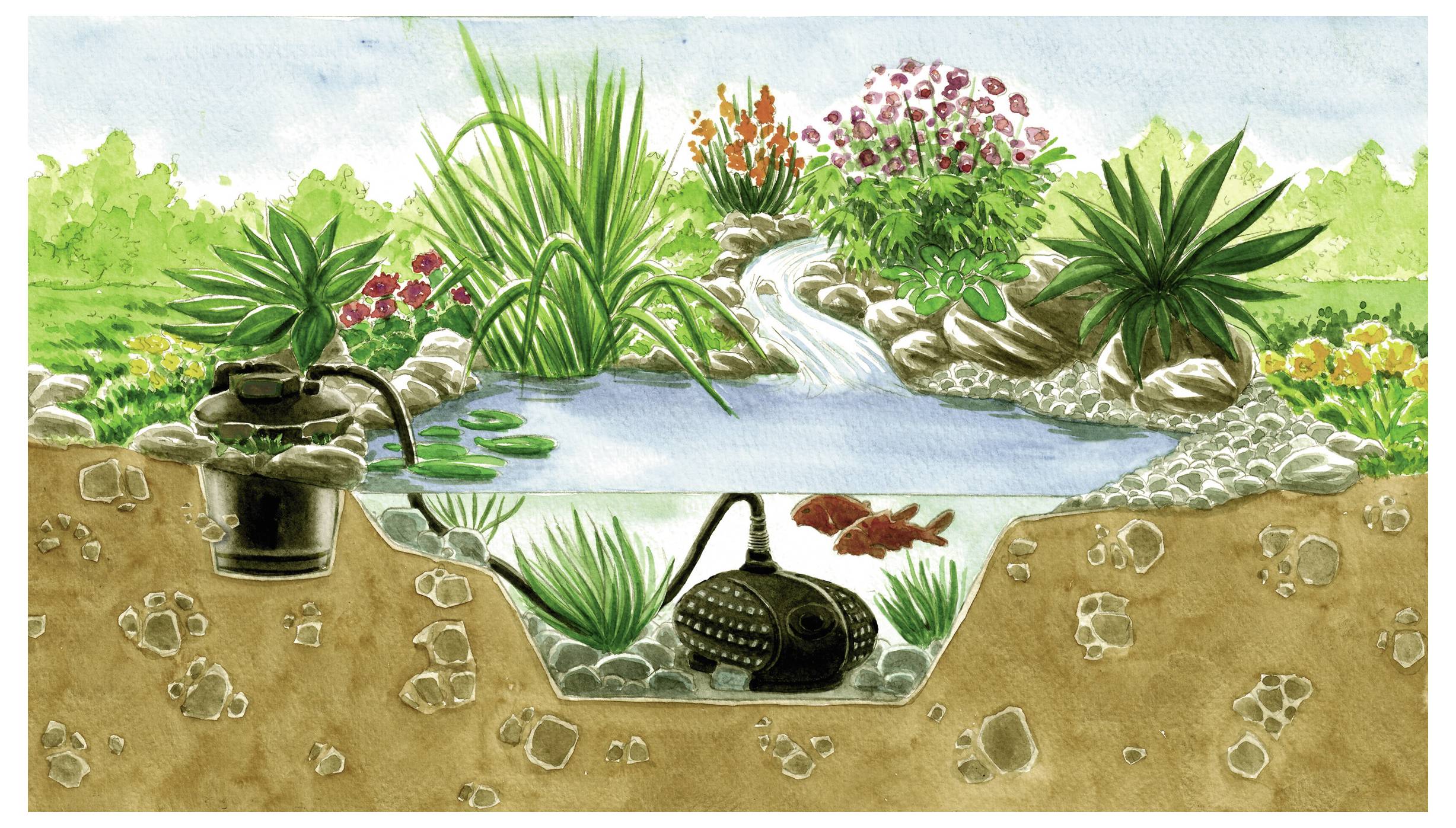 Une coupe transversale d'un bassin de jardin avec une pompe. Des poissons nagent dans une eau claire, entourés de rochers, de plantes et d'une petite cascade dans une verdure luxuriante.