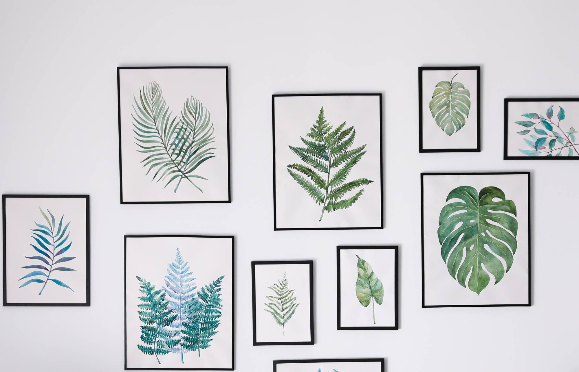 Mur de galerie de tirages botaniques encadrés de feuilles dans des cadres noirs sur un mur clair, présentant des designs de fougères, feuilles de palmier et monstéra.