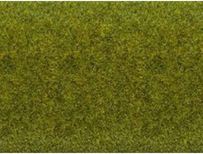 Texture de feuillage avec différentes nuances de vert formant un arrière-plan naturel et herbeux. Idéal pour des représentations paysagères.