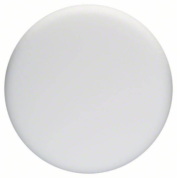 Un cercle uni blanc.