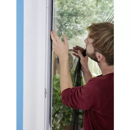 Moustiquaire pour fenêtre tesa 55388-00021-01 (l x H) 1500 mm x 1300 mm anthracite 1 pc(s) Moustiquaire pour fenêtre tesa 55388-00021-01 (l x H) 1500 mm x 1300 mm anthracite 1 pc(s)