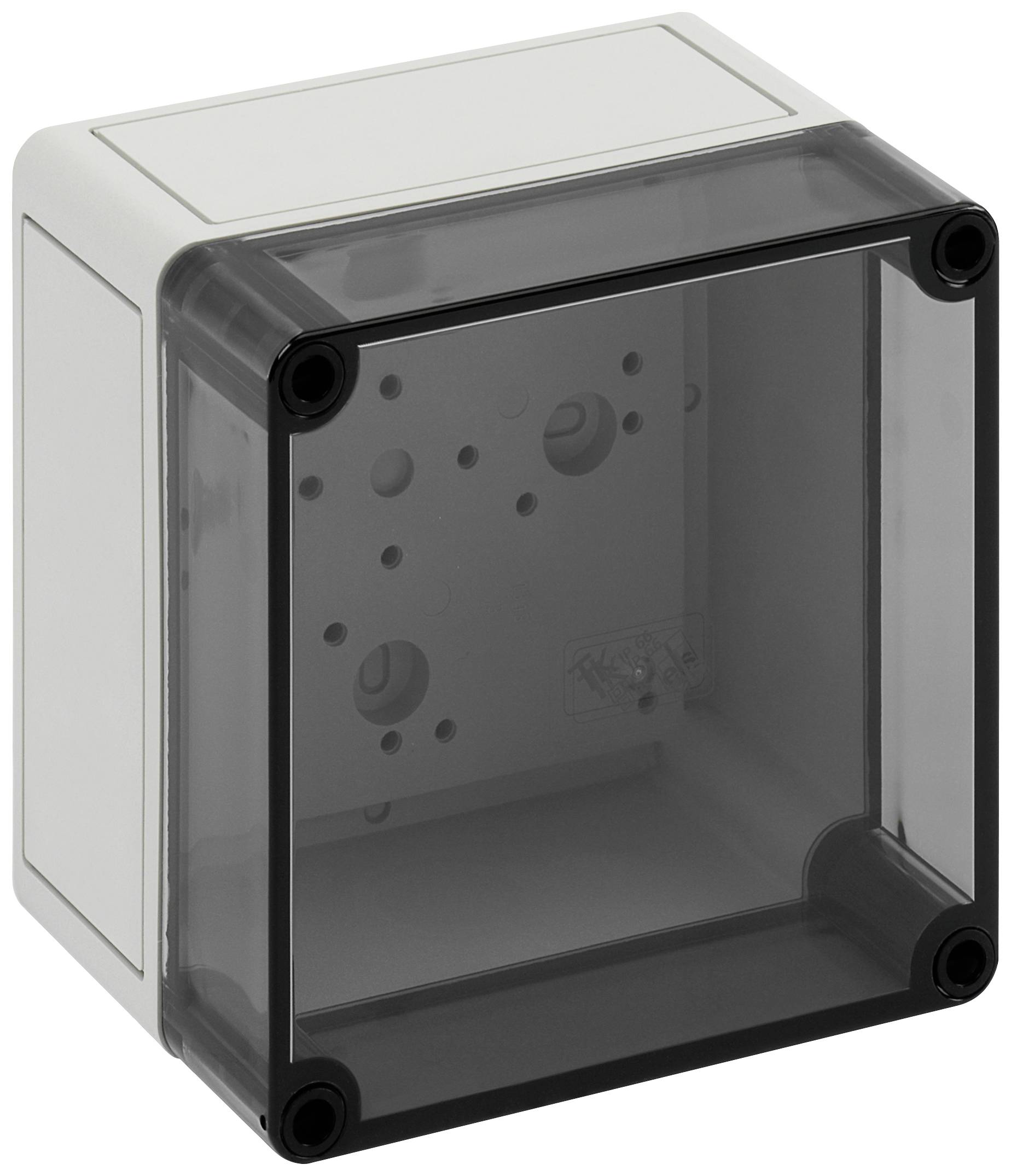 Coffret d'installation Spelsberg TK PS 1313-10-t 11150501 gris clair (RAL 7035) 130 x 130 x 99 Polycarbonate, Polystyrène expansé