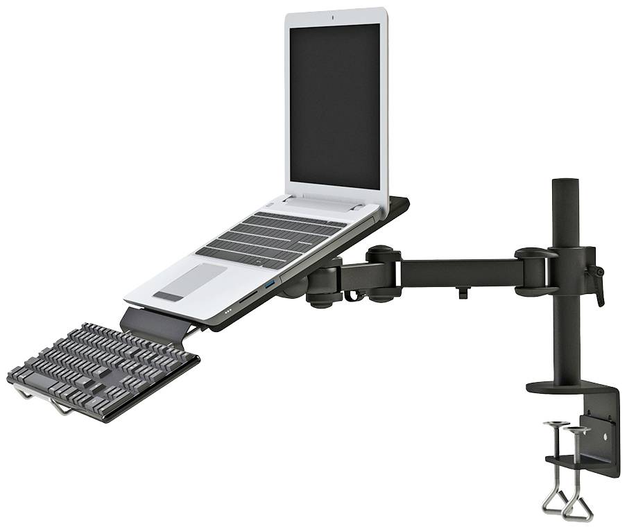 Support d'ordinateur portable Neomounts NOTEBOOK-D100 inclinable, réglable en hauteur