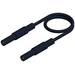 SKS Hirschmann MLS SIL GG 100/1 Cordon de mesure de sécurité Banane mâle 4 mm Banane mâle 4 mm 1.00 m noir 1 pc(s) SKS Hirschmann MLS SIL GG 100/1 Cordon de mesure de sécurité Banane mâle 4 mm Banane mâle 4 mm 1.00 m noir 1 pc(s)