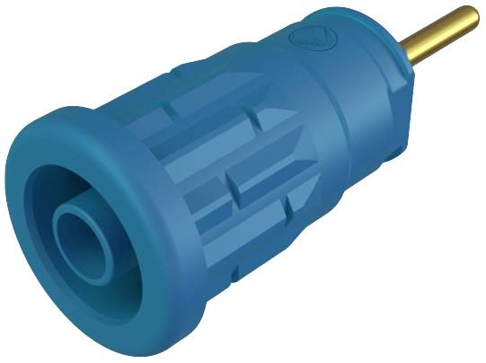 Une prise électrique cylindrique striée, de couleur bleu et or, permet la connexion à un appareil électrique compatible.