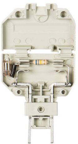 Porte-fusible avec avec lampe à incandescence 220 V Wieland Electric Z1.299.4255.0 gris 1 pc(s)