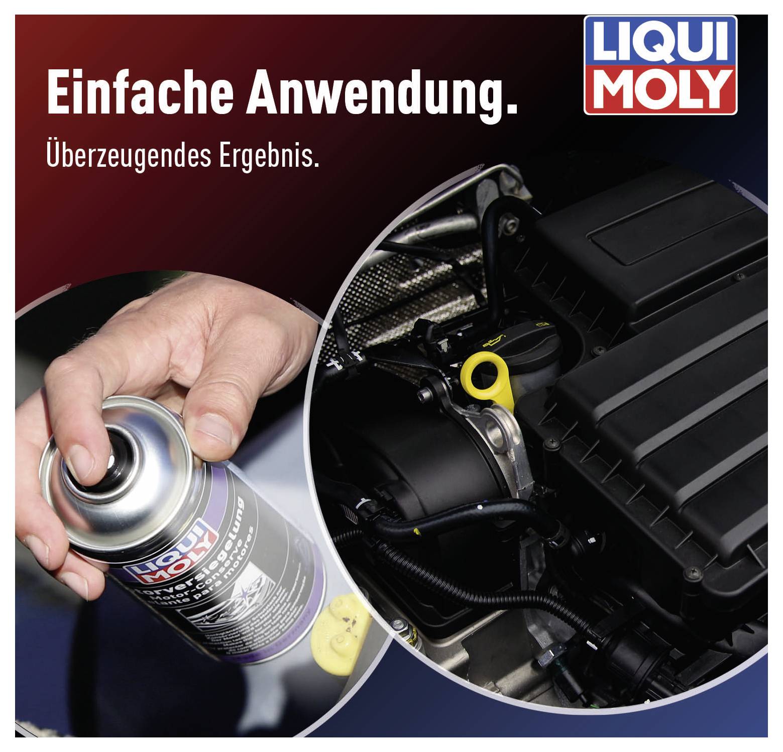 Liqui Moly Spray est utilisé dans le domaine moteur. Texte : Application simple. Résultat convaincant.