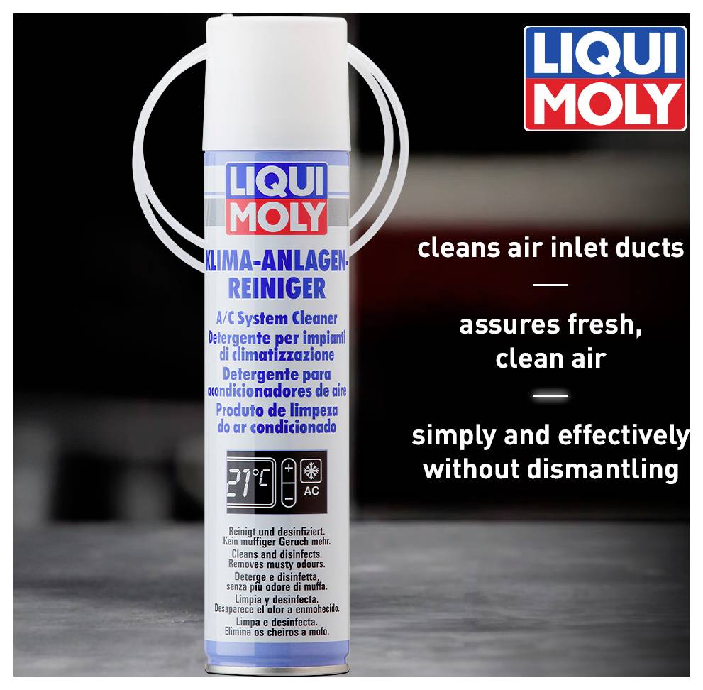 Liqui Moly 4087 Nettoyant pour climatisation 250 ml
