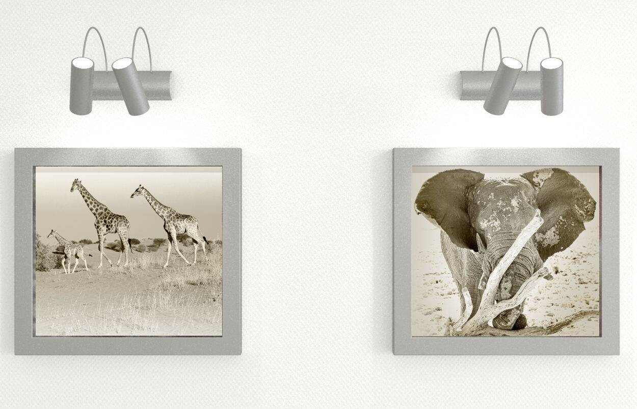 Deux photos encadrées d'animaux sur un mur. À gauche, des girafes traversent la savane, à droite, un éléphant est photographié de face.