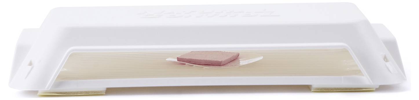 Piège à mites attractif Swissinno 1 563 262 pour l'intérieur