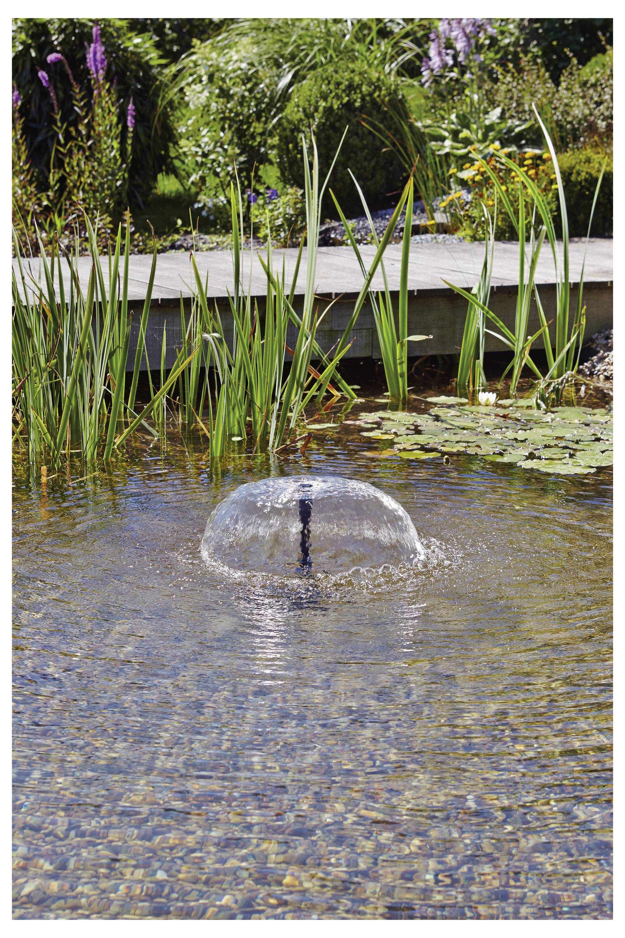 Un petit étang à l'eau claire présente une fontaine bouillonnante en son centre. Tout autour, des herbes hautes et des fleurs colorées s'étendent.