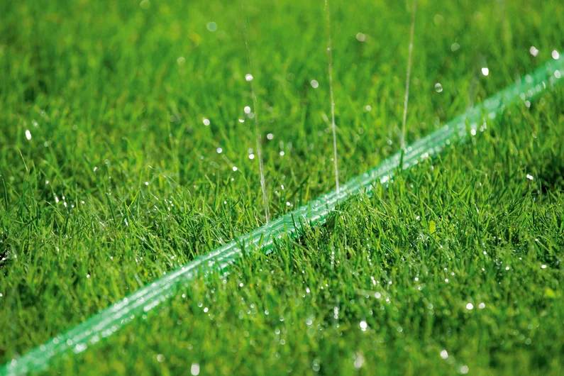 Gros plan sur un tuyau d'arrosage vert arrosant l'herbe avec de petites gouttelettes d'eau, illustrant une irrigation de pelouse efficace.
