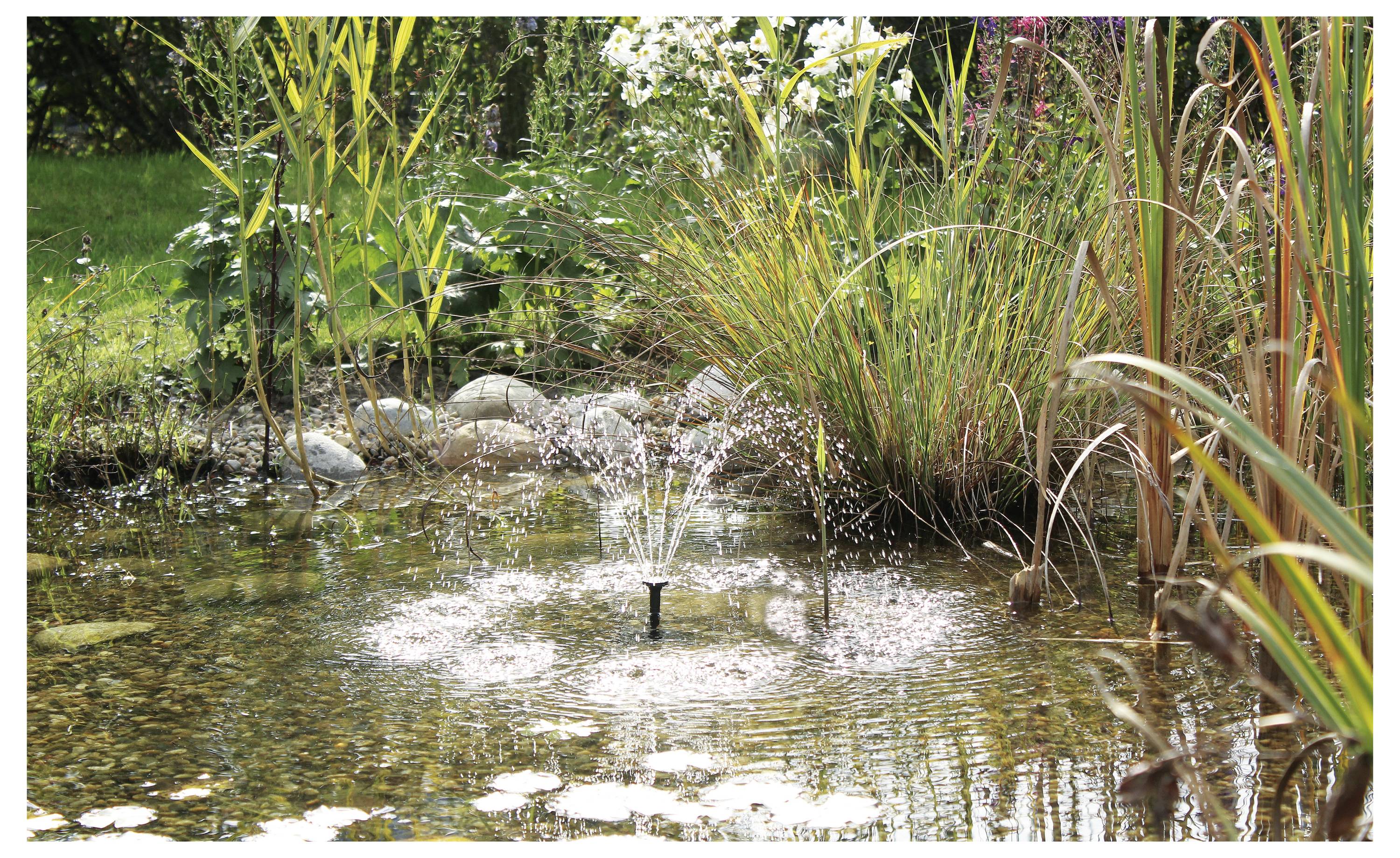 Un étang de jardin avec une fontaine centrale entourée de plantes et de fleurs diversifiées et luxuriantes, reflétant une atmosphère calme et sereine.