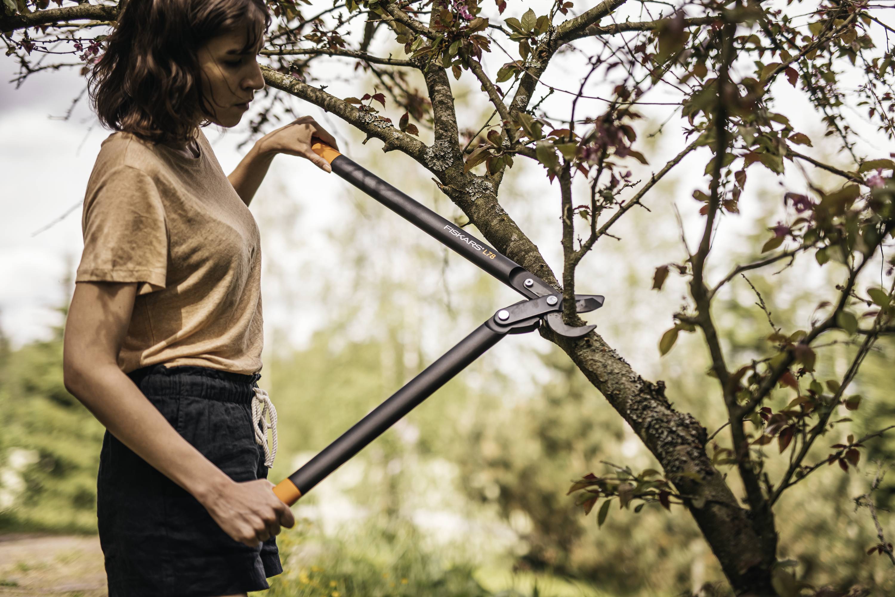Une personne coupe des branches d'un arbre avec un sécateur dans un jardin. L'arrière-plan montre des arbres et un ciel nuageux.